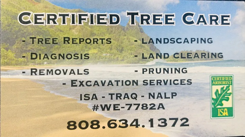 Top-rated residential landscaping in Palm Desert, CA - Certified Tree Care