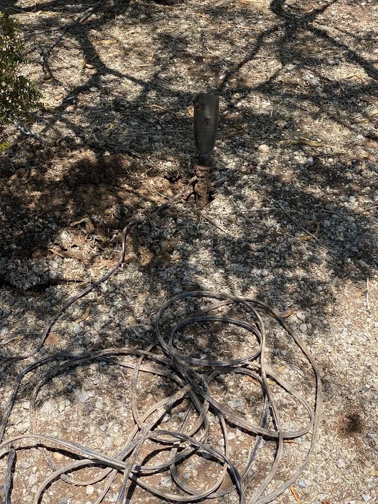 Affordable garden landscaping for year-round maintenance across Phoenix, AZ - Certified Tree Health Specialist