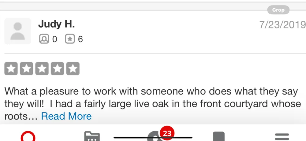 Local lawn care service with custom design in Phoenix, AZ by Certified Tree Health Specialist