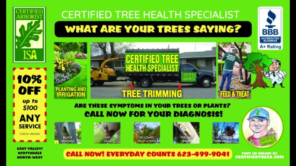 Professional garden landscaping in Phoenix, AZ by Certified Tree Health Specialist