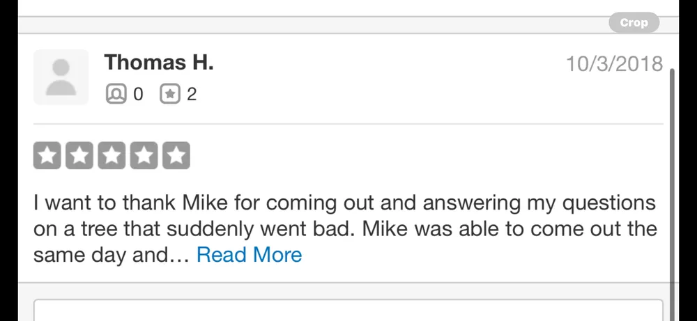 Professional lawn care service in Phoenix, AZ - Certified Tree Health Specialist