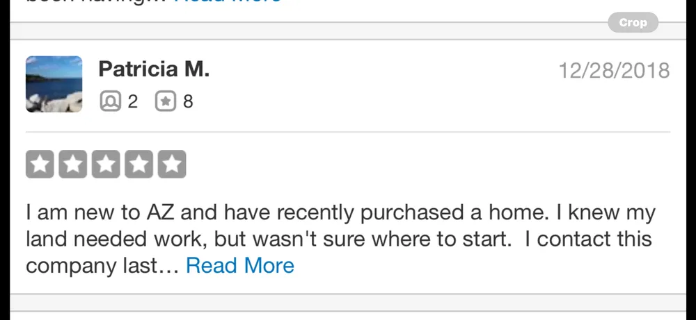 Affordable landscaping services experts serving Phoenix, AZ - Certified Tree Health Specialist