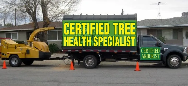 Reliable landscape installation in Phoenix, AZ - Certified Tree Health Specialist