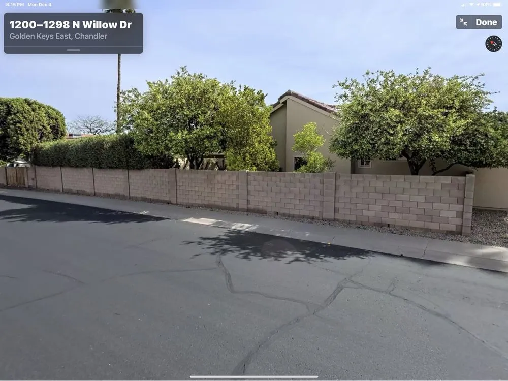 Expert yard cleanup service in Phoenix, AZ - Certified Tree Health Specialist