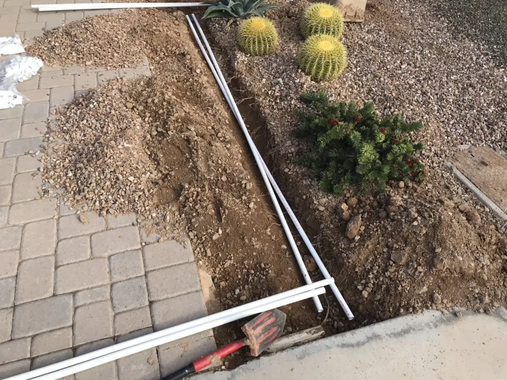 Local lawn mowing service with custom design across Phoenix, AZ - Certified Tree Health Specialist