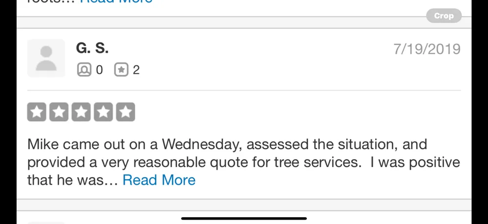 Professional residential landscaping in Phoenix, AZ by Certified Tree Health Specialist