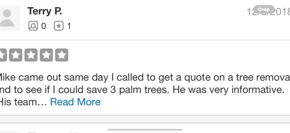 Top-rated garden landscaping in Phoenix, AZ - Certified Tree Health Specialist