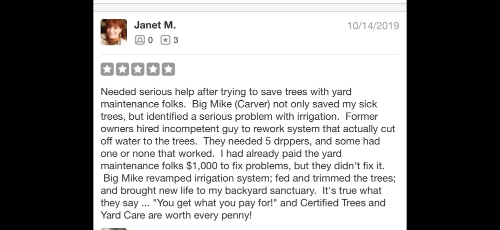 Affordable lawn care service near you in Phoenix, AZ by Certified Tree Health Specialist