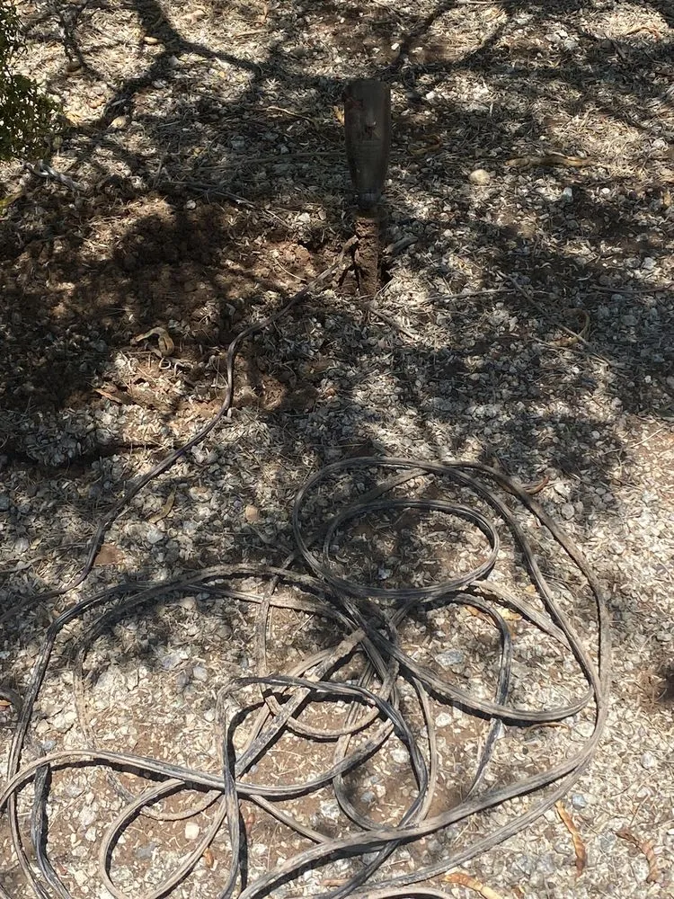 Affordable outdoor landscaping in Phoenix, AZ - Certified Tree Health Specialist