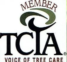 Reliable residential landscaping in Phoenix, AZ by Certified Tree Health Specialist