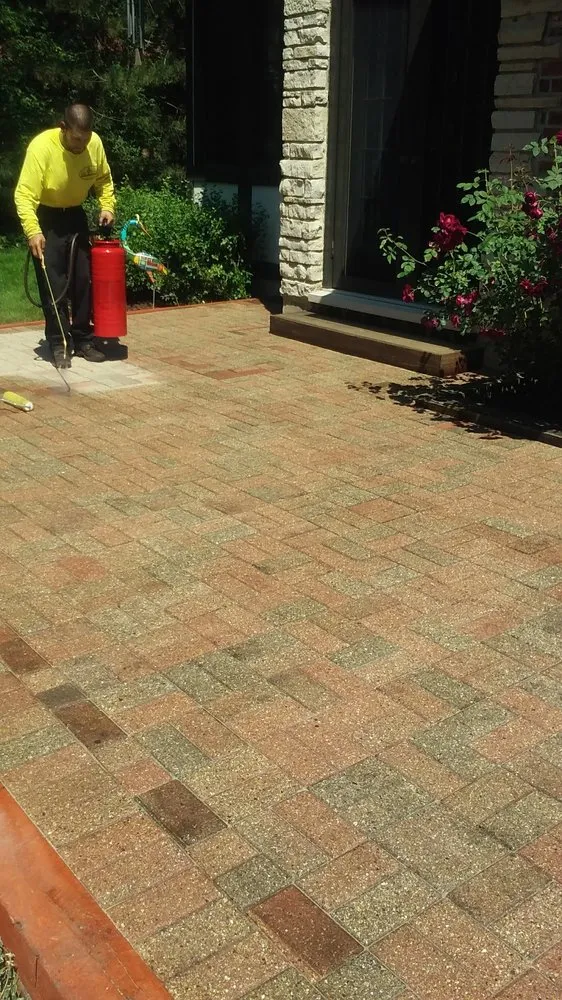 Expert landscape design for residential properties across Elmwood Park, IL - Certified VIP Landscaping