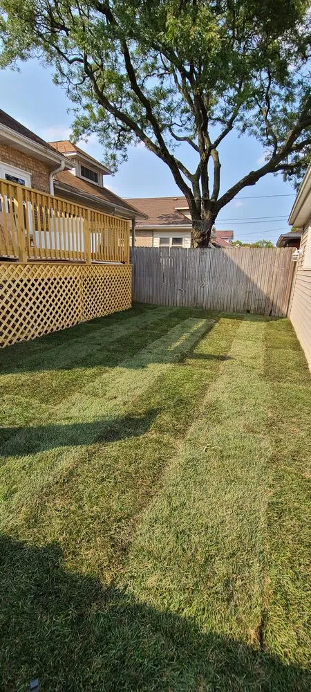 Custom landscaping services near you across Elmwood Park, IL - Certified VIP Landscaping