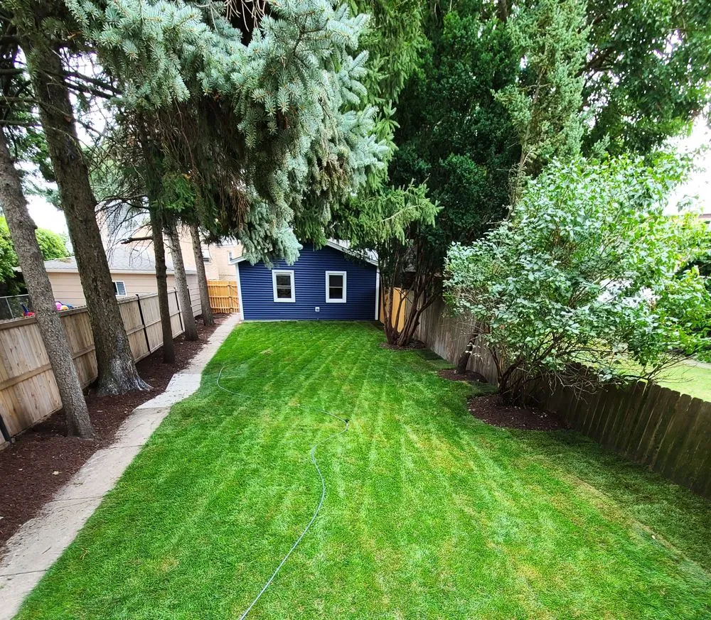 Expert lawn care service for residential properties across Elmwood Park, IL - Certified VIP Landscaping