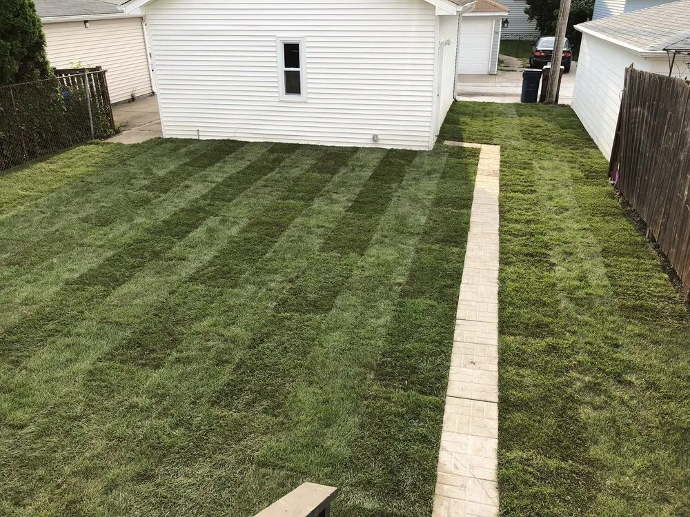 Reliable landscaping services experts serving Elmwood Park, IL - Certified VIP Landscaping