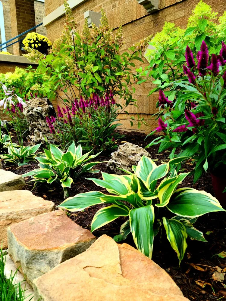 Affordable outdoor landscaping in Elmwood Park, IL - Certified VIP Landscaping