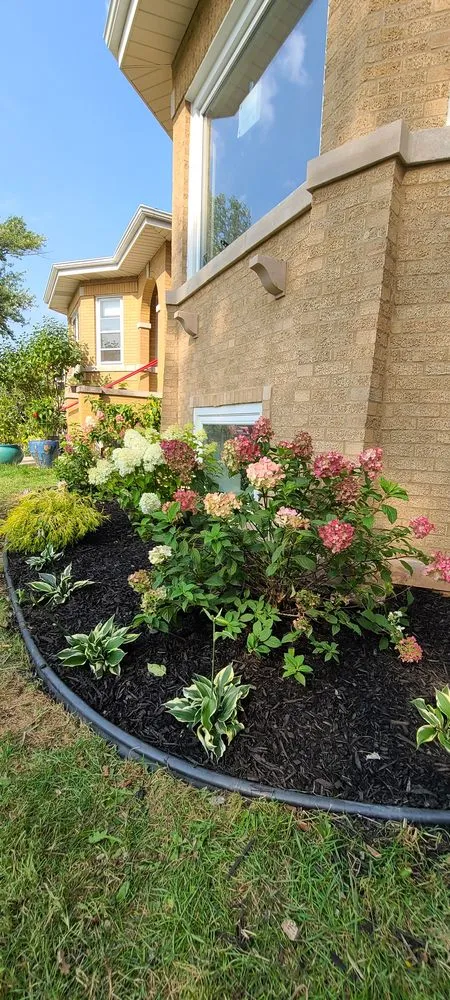 Reliable residential landscaping experts serving Elmwood Park, IL - Certified VIP Landscaping