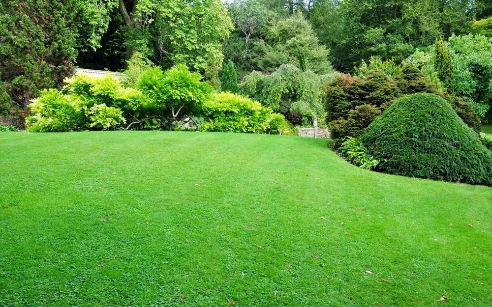 Professional garden landscaping experts serving Inwood, NY - Cerullo Landscape and Irrigation