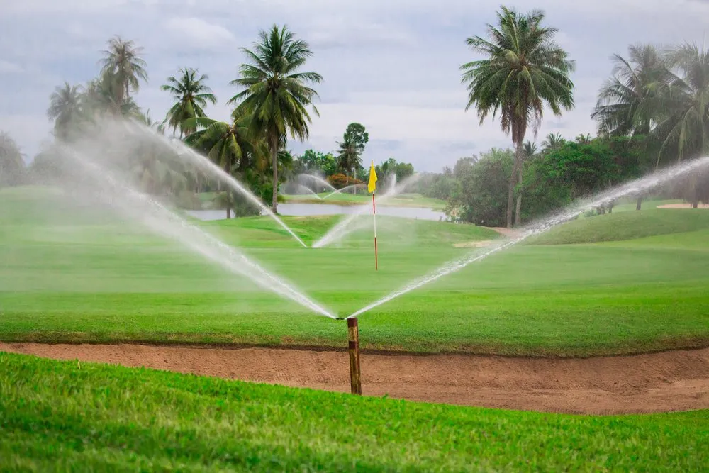 Custom landscaping services experts serving Inwood, NY - Cerullo Landscape and Irrigation