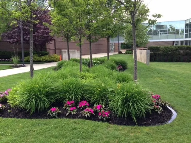 Affordable yard maintenance in Inwood, NY by Cerullo Landscape and Irrigation