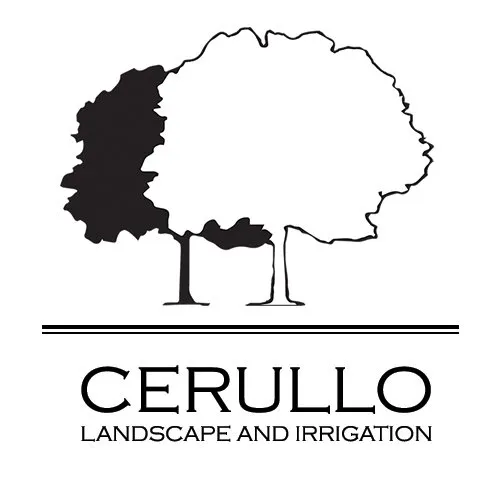Custom landscape installation in Inwood, NY - Cerullo Landscape and Irrigation
