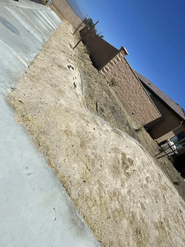 Local residential landscaping for residential properties across Hemet, CA - Cervantes Clean & Haul