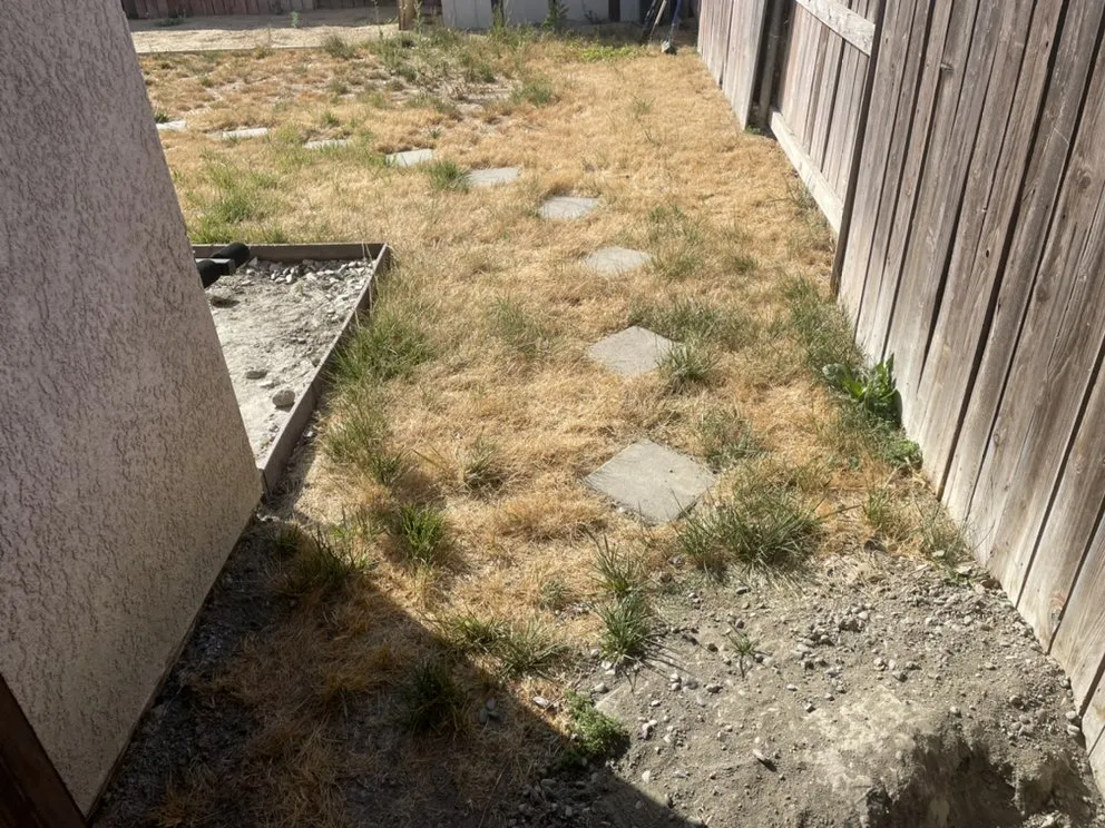 Custom residential landscaping near you in Hemet, CA by Cervantes Clean & Haul