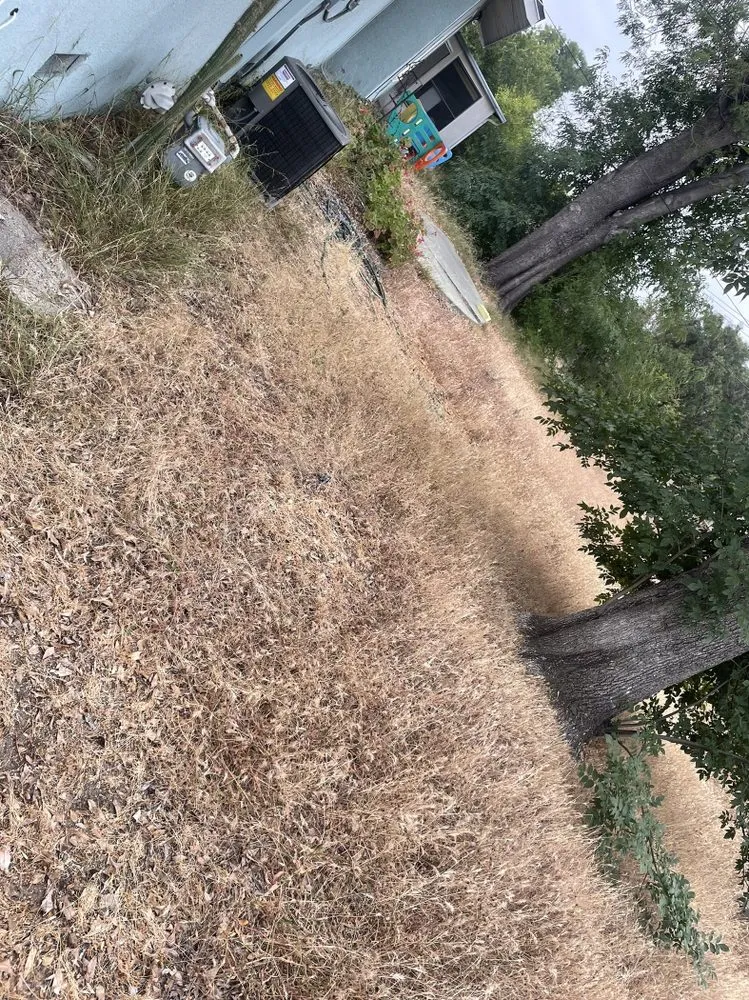 Custom outdoor landscaping in Hemet, CA - Cervantes Clean & Haul