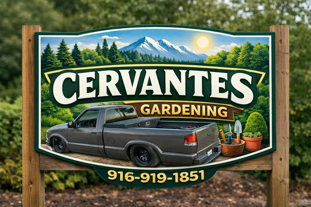 Expert landscape installation near you in Elverta, CA by Cervantes Gardening