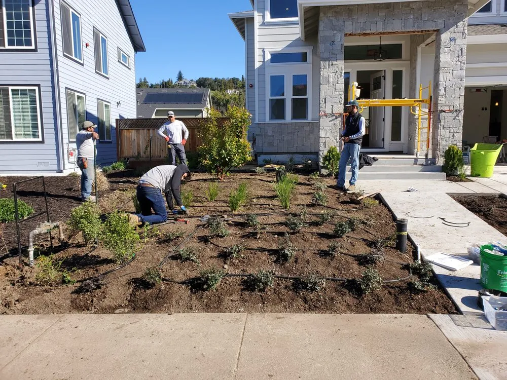 Expert lawn mowing service in Sonoma, CA - Cervantes Landscape