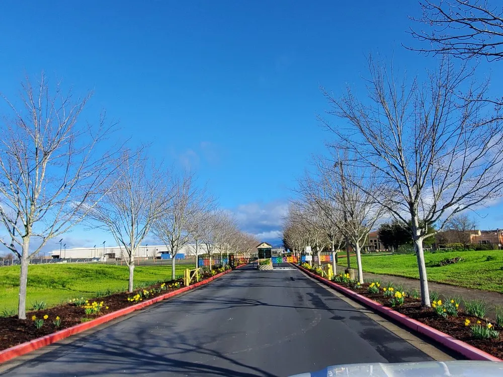 Local landscaping services for residential properties in Sonoma, CA by Cervantes Landscape