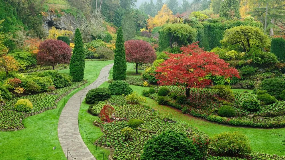 Trusted lawn care service for beautiful yards in Big Bear Lake, CA by Cervantes Landscaping