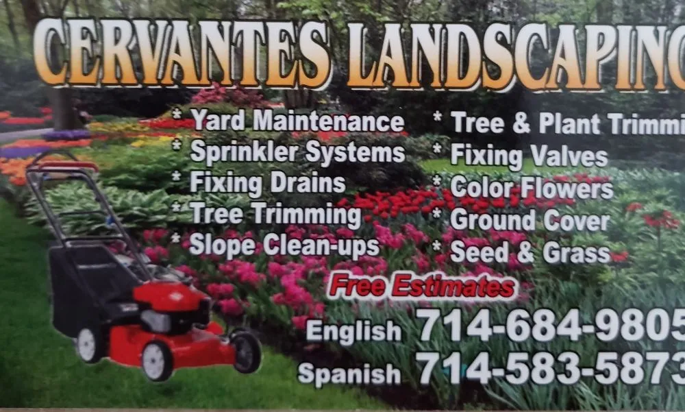 Reliable yard cleanup service in Orange, CA by Cervantes Landscaping
