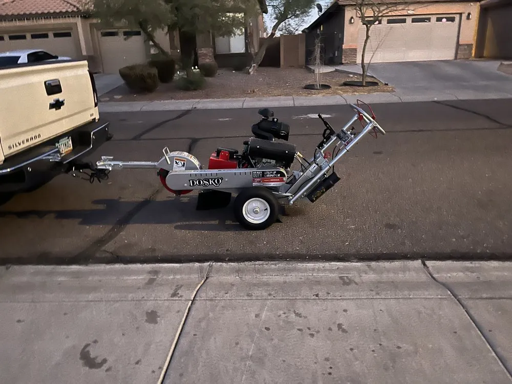 Expert yard cleanup service for year-round maintenance across Phoenix, AZ - Cervantes Tree Service