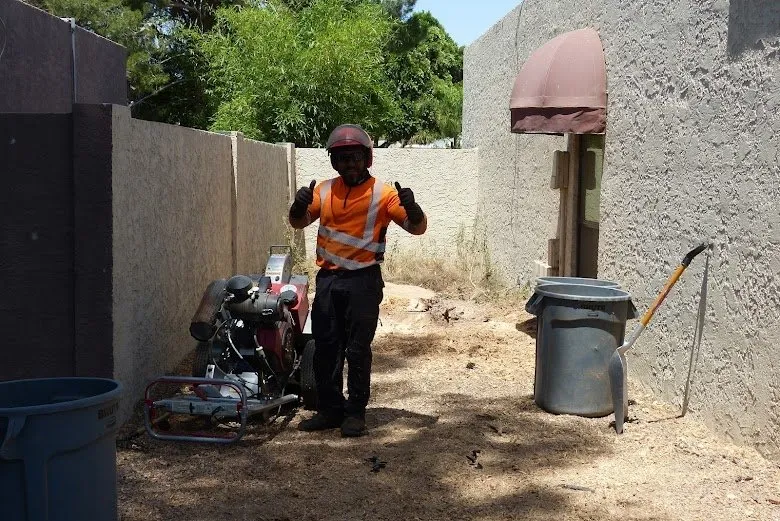 Affordable landscape design for year-round maintenance in Phoenix, AZ by Cervantes Tree Service