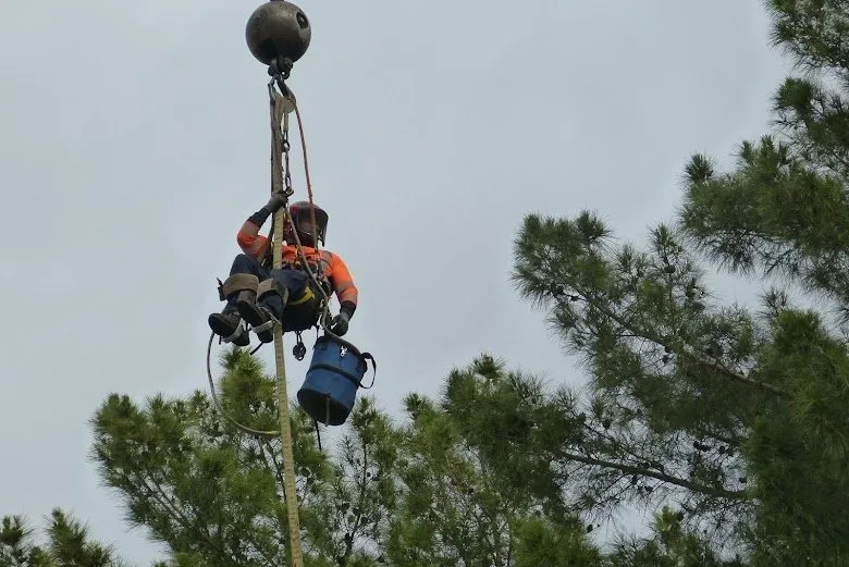 Custom landscaping services for outdoor upgrades across Phoenix, AZ - Cervantes Tree Service