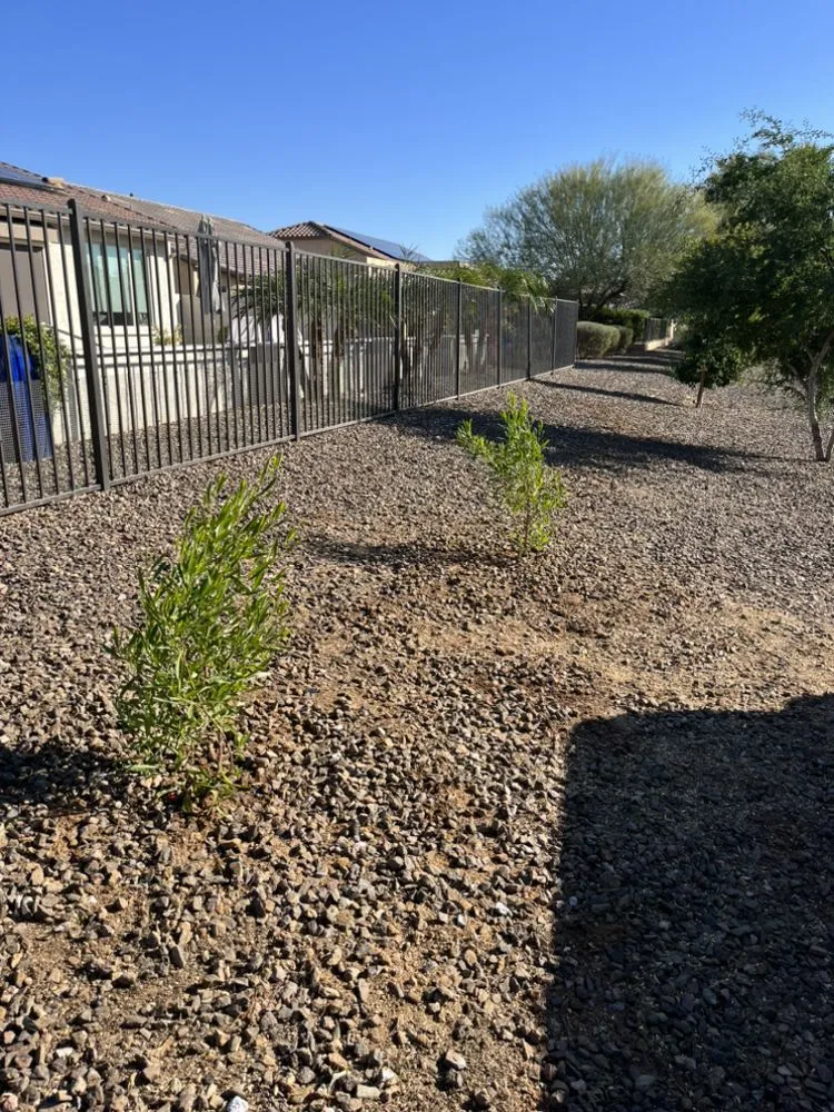 Expert yard cleanup service experts serving Phoenix, AZ - Cervantes Tree Service