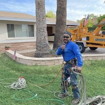 Trusted landscape design for outdoor upgrades across Phoenix, AZ - Cervantes Tree Service