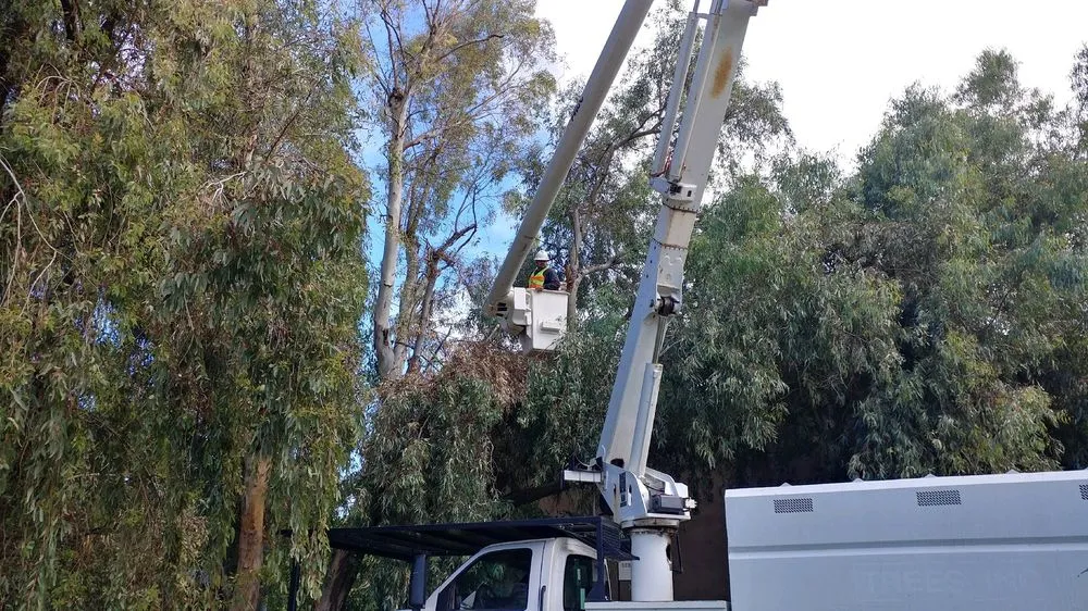 Trusted landscape installation for beautiful yards across Bakersfield, CA - Cervantes Tree Services