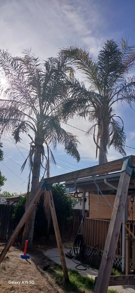 Custom garden landscaping experts serving Bakersfield, CA - Cervantes Tree Services