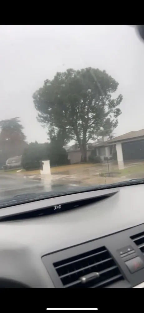 Expert landscape installation in Bakersfield, CA - Cervantes Tree Services