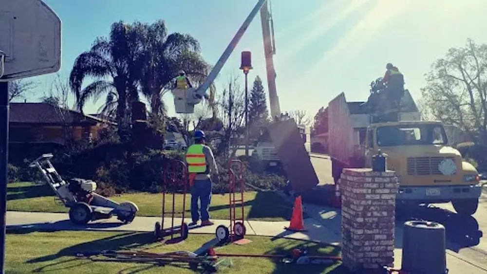 Custom lawn care service for beautiful yards across Bakersfield, CA - Cervantes Tree Services