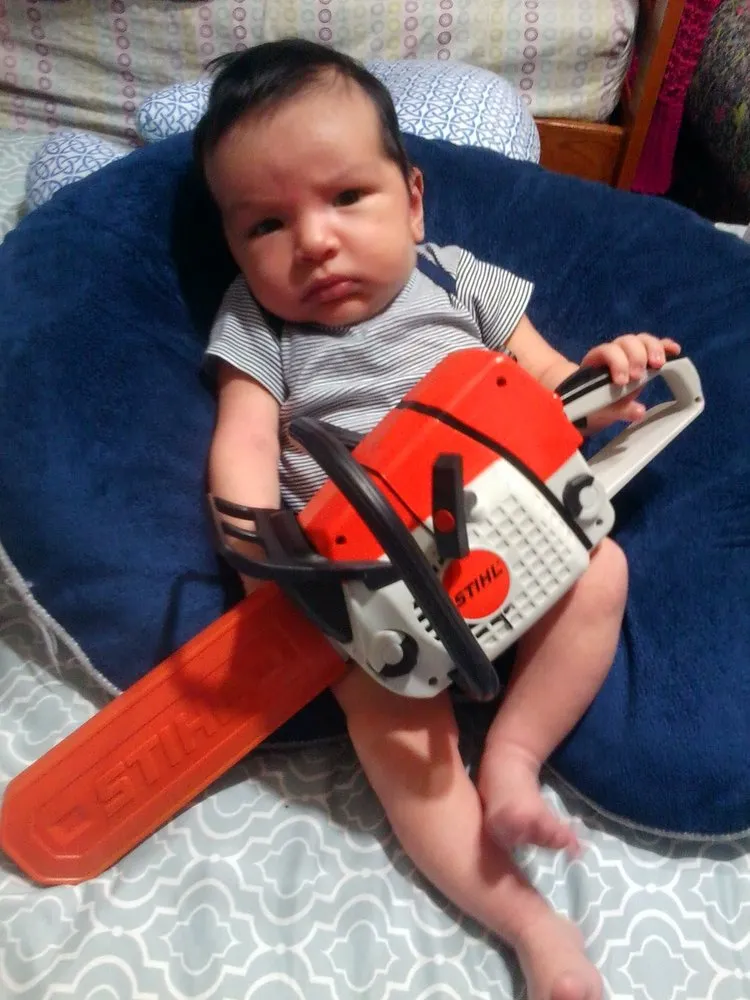 Top-rated landscape installation near you across Bakersfield, CA - Cervantes Tree Services