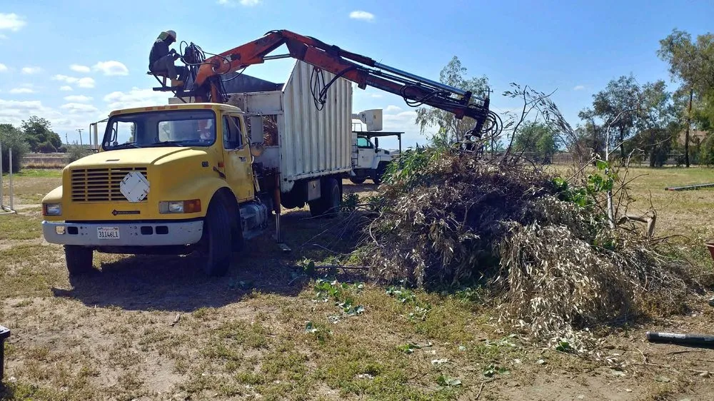 Local garden landscaping for beautiful yards in Bakersfield, CA by Cervantes Tree Services