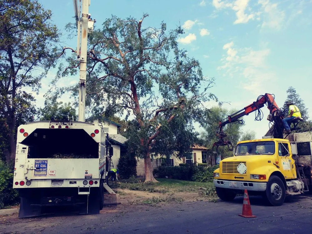 Trusted yard maintenance experts serving Bakersfield, CA - Cervantes Tree Services