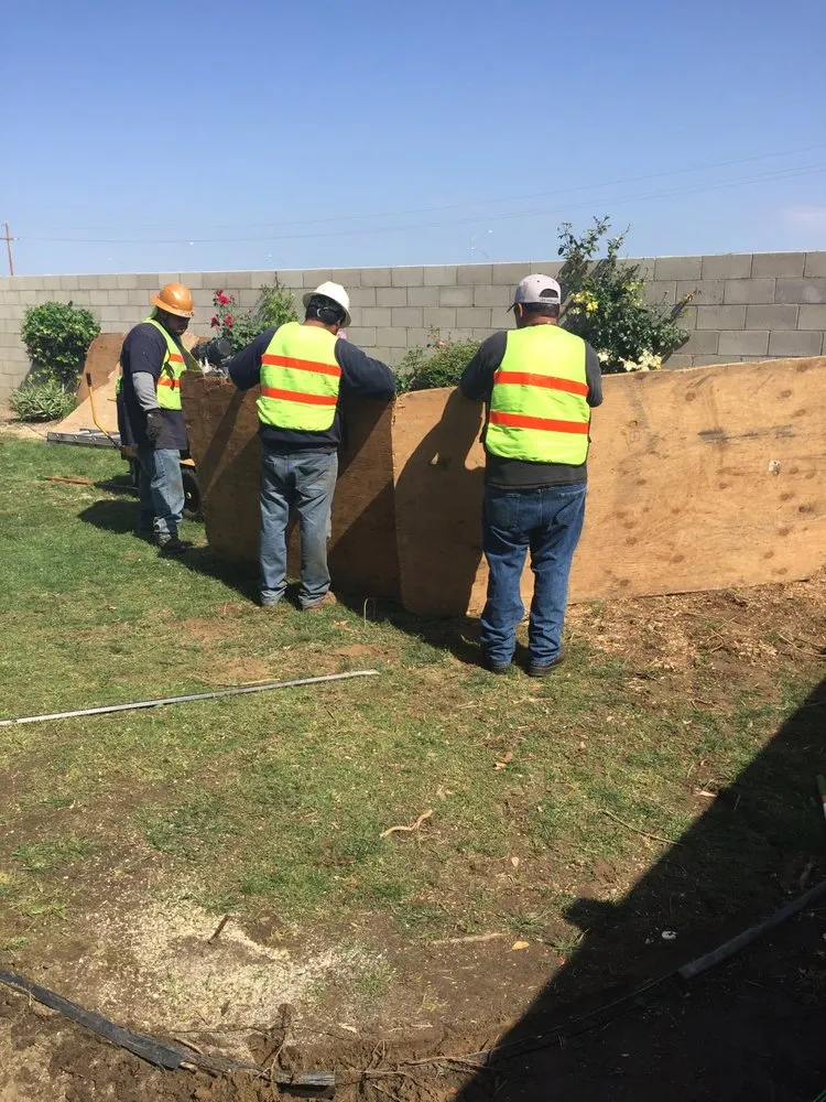 Expert yard cleanup service in Bakersfield, CA by Cervantes Tree Services