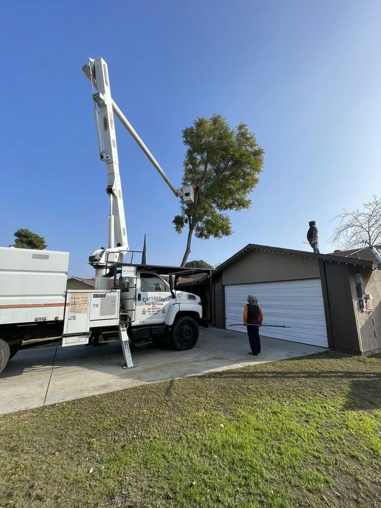 Reliable yard maintenance with custom design in Bakersfield, CA by Cervantes Tree Services