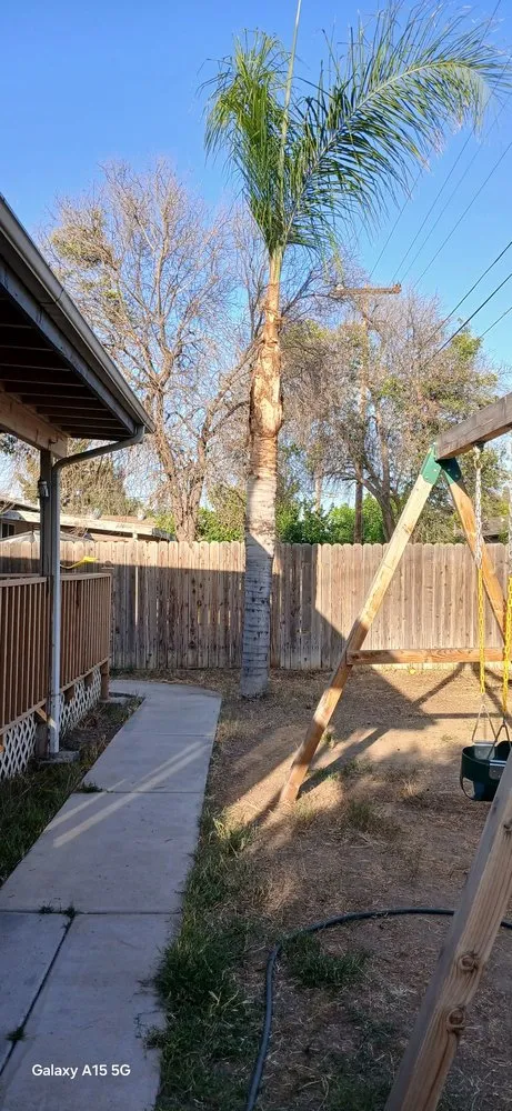 Affordable landscaping services near you across Bakersfield, CA - Cervantes Tree Services