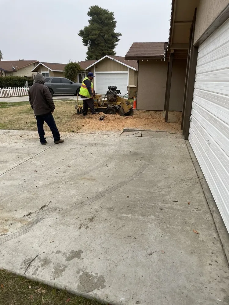 Trusted outdoor landscaping experts serving Bakersfield, CA - Cervantes Tree Services