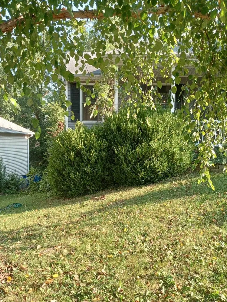 Professional residential landscaping near you in Springfield, MO by Cervi Landscaping And Outdoor Design