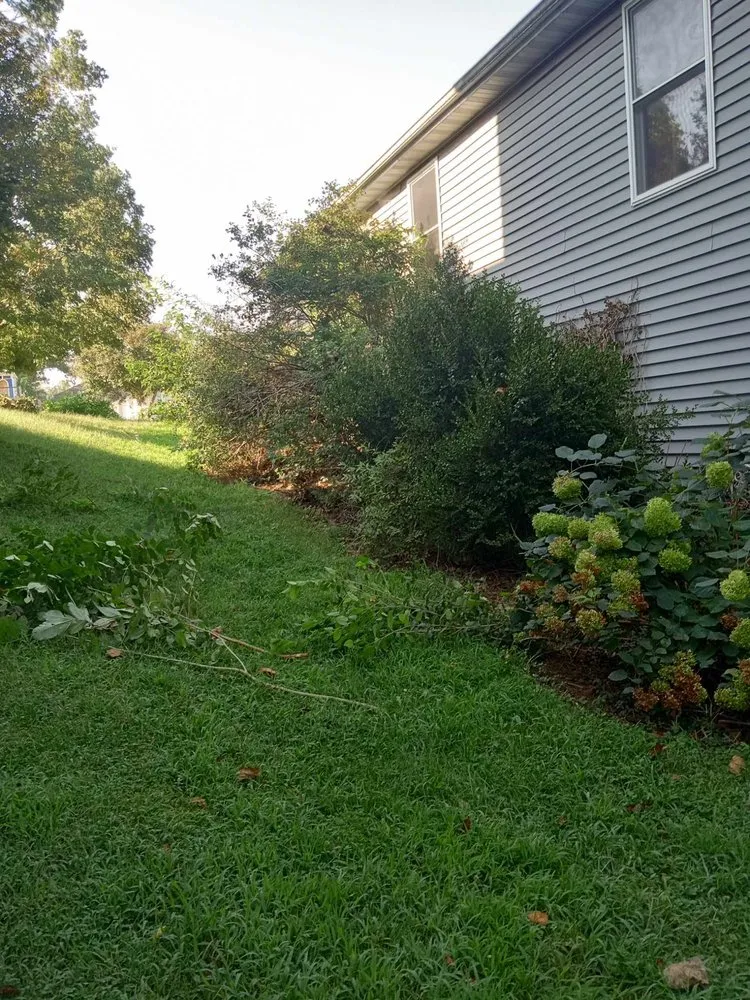 Professional yard cleanup service in Springfield, MO - Cervi Landscaping And Outdoor Design